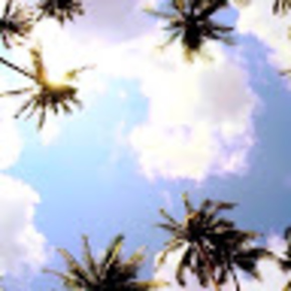 Meet your Posher, Mark - Picture 1 of 1